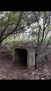 〈難忘的愛人〉 是一首在台灣家喻戶曉的經典台語老歌。這首歌最初是由日本歌曲〈旅笠道中〉改編而來，歌詞描述了一位女性對遠行或離去的愛人深切的思念，儘管時光流逝，心中的那份情感依然難以忘懷，是典型表達「純情與等待」的作品。 | 陳明弘