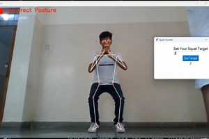 The Virtual Fitness Assistant