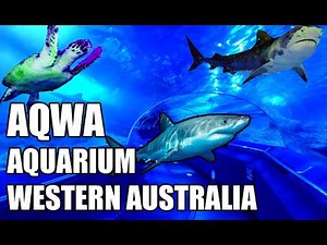 AQWA - The Aquarium of Western Australia