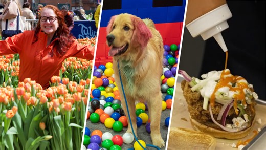 The weekend scene: Freebies at new chicken spot and more around DC through March 15