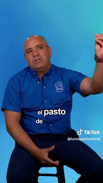 Fisiología digestiva de los rumiantes: La rumia