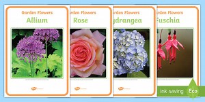 Garden Flower Photo Display Posters