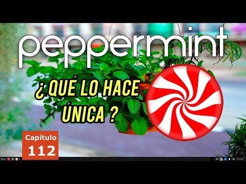 Peppermint OS Debian 12 ¡Escucha a los Usuarios! Ligera y Estable