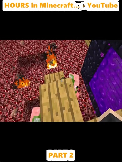 Catching the Rarest Mobs in 24 Hours in Minecraft