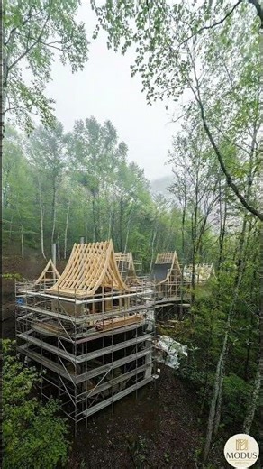 Creating Architecture from Scratch: The "Forest Canopy" #homedecor #satisfying