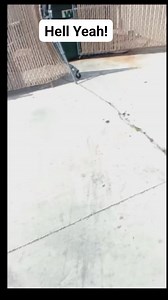 Dollar Store Score! #reels #viral #Amazing #share #bonus #highlight | Roe Mantic Metals Recovery