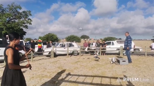 Roderick Petersen Releasing of doves | Willys & Gallico Funeral Services