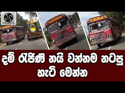 Dham rajini bus nagini dancing