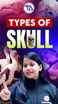 Types of Skull Explained with Examples 🦜🐊 | Biology Concept You Can’t Ignore #viral #biology #feed