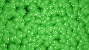 Vibrant Oozing Green Slime Abstract Background Stock Footage Video (100% Royalty-free) 3549981335 | Shutterstock