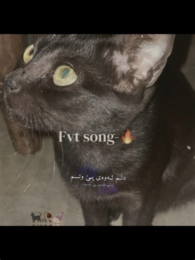 My cat fvt desi song🐈‍⬛🥀💅🏻 #moulameremoula #desisong #cat #fyyyyyyyyyyyyyyyy #1m