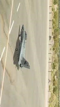 RealFlight Evolution F-14 Tomcat 4k60 fps