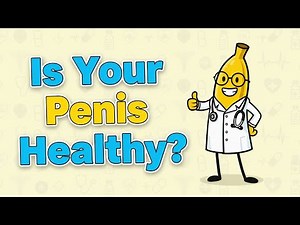 Men’s Penis Health Guide 2026 | Early Warning Signs, Blood Flow & Erectile Health – Dr. Banana’s Lab