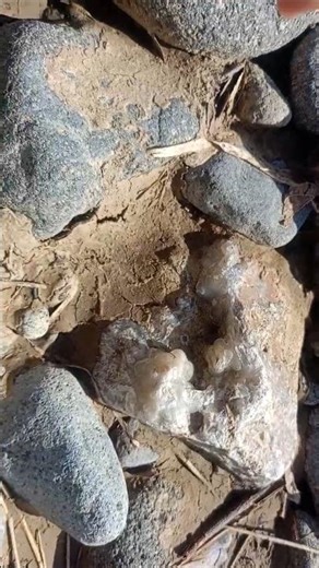 botryoidal agate #rockhounding