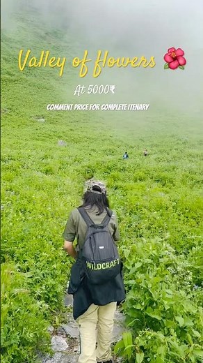 Valley of Flowers 🇮🇳 The Most Beautiful Place in the Himalayas 🌸✨