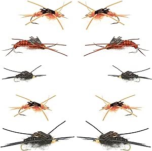 The Fly Fishing Place Basics Collection - Kaufmann's Stonefly Nymph Assortment - 10 Bead Head Rubber Legs Wet Flies - 5 Patterns - Hook Sizes 4, 6, 8, 10, and 12