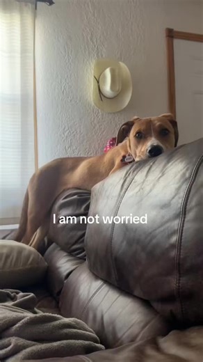 Pearl Louise🫧🎀🦢🩷