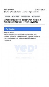 Biology 12th Reproduction in Lower and Higher Animals Fertilization
