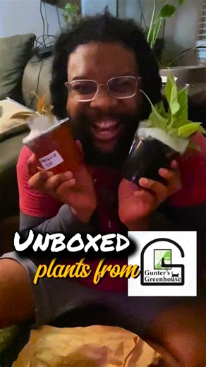 I’ve been riding with Gunter’s since 2018 — and they’ve been a real one in my plant journey ever since 🪴💚 Gunters Greenhouse is a small business that’s grown into something big for me. I’ve been to a lot of plant spots across the Triangle, but Gunters? They’ve truly become like family — cool people, great plants, and a real connection to the community. National Houseplant Day isn’t just about houseplants, plant care, and propagation — it’s also about recognizing the small plant businesses that