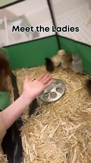 22K views · 307 reactions | These are my ladies! In case you missed...