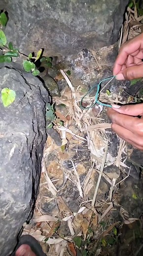 7.7K reactions · 16 shares | Nongol jugak | Kang Zen | Facebook