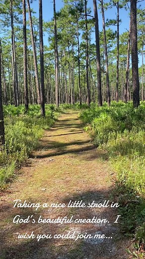 Exploring Nature's Beauty in North Florida