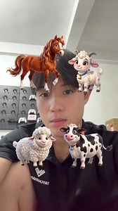 Xu hướng viral 2026: Dương Bìng Thuòng và trào lưu mới