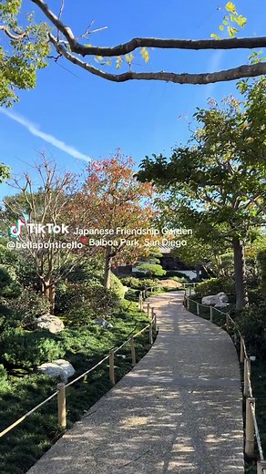 Exploring the Japanese Friendship Garden in Balboa Park, San Diego