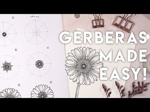 How To Draw Gerberas Like A Genius ✨