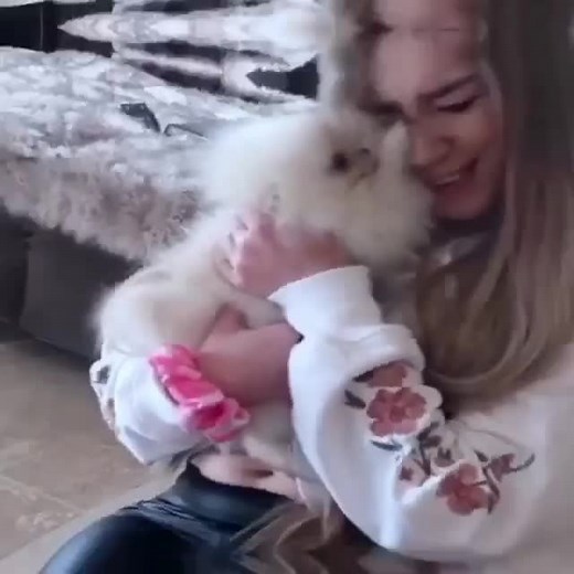 Das ist Beki mit Fluffy🐶😍(Repost Fanpage) #pomeranian #goviral #fy #rebekahwing #fluffy @rebekahwing