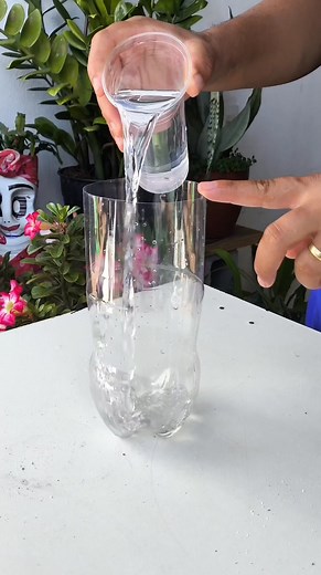 1.1M views · 20K reactions | É SÓ COLOCAR 2 COLHERES DE ÁGUA OXIGENADA , E SUAS PLANTAS VAI AGRADECER | cultivando em casa | Facebook