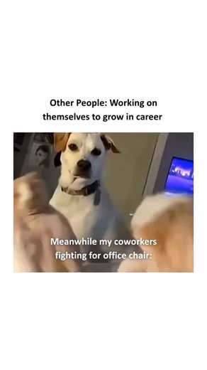 Sapient Services on Instagram: "Tag your teammates 😥 . . . . ( corporate , work , relatable office moments, office humour , office , office hours , co-worker , employees , marketing , finance , consulting , funny , office fun , funny memes , office memes , office hood , sapient , sapient services , run , valuation , services , insurance , relatable , working , unemployment , employees, employers , office friends , content , content creator , creator , small creator , office besties , work besti