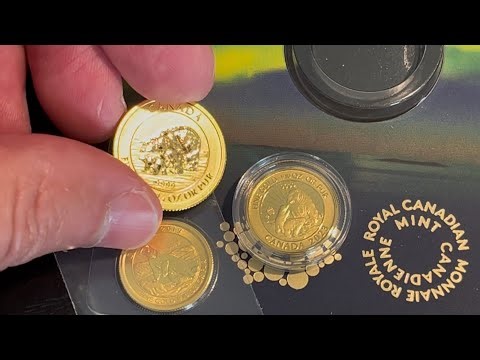 Canada Gold Polar Bear Coins