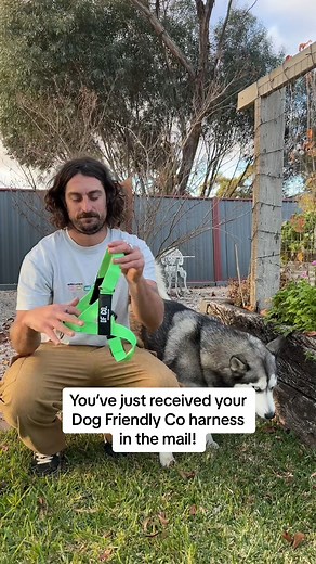 11K views · 30 reactions | POV: You just ordered a Dog Friendly Co harness  Not sure how to put it on your dog? Here are a few tips to get you started. It’s quick and easy - it takes only two seconds to put on/off! #DogHarness #DogAccessories #DogLover #Dogs | Dog Friendly Co. | Facebook