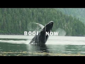 A Spring Break for Your Wallet | UnCruise Adventures
