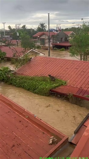 Impact of Heavy Rain on Flooding in 2025