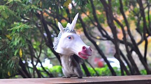 12K views · 171 reactions | It's time to get out your Unicorn Head Squirrel Feeder! Turns squirrels into magical unicorns! Also available in horse and squirrel heads! https://mcphee.com/pages/search-results-page?q=squirrel+feeder | Archie McPhee | Facebook