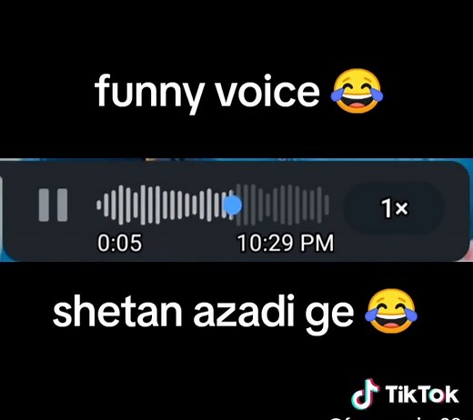 Hilarious Compilation of Funny Voices 😂