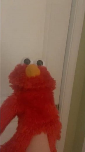 elmo world wild animals imagination