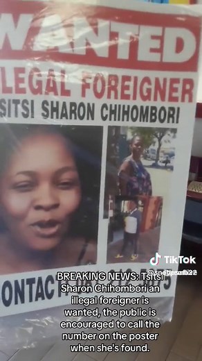 Understanding and Addressing Social Issues in Society