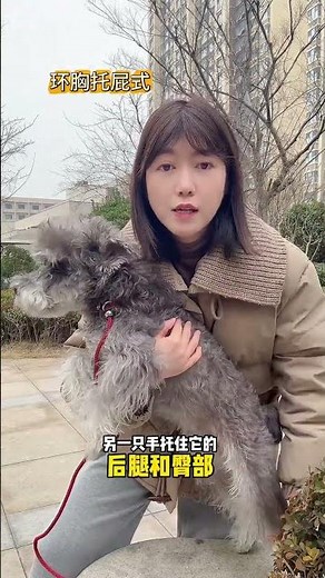 Don't Confuse Canines! Dog Holding Guide DogHandling PetTips