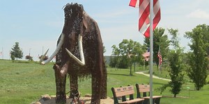 Aurelia sculpture artist brings pieces to life through farm scraps