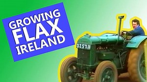 12K views · 205 reactions | Tom Flemming & Eugene McConville give us a brief summary of how flax was grown in the North of Ireland during the last century. | Videos of Irish Farming Life | Facebook