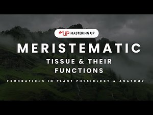 Meristematic Tissue Diagram and Functions Explained | #5