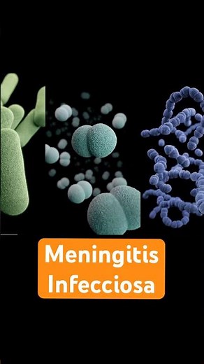 These are the symptoms and causes of infectious meningitis #microbiology #clinicallaboratory