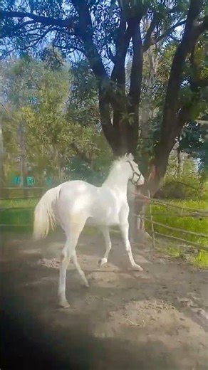 name Emma hight 64+ month 30.