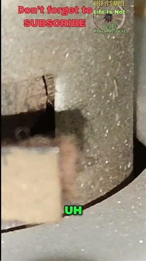 Vintage Tech Teardown: Inspecting the Recorder's Heart (Erase & Record Heads) #shorts