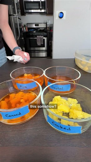 Pineapples Eat Jello | Science Experiment