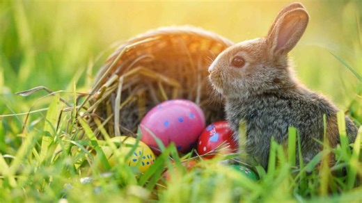 Das steckt hinter Ostern und dem Osterhasen: Bräuche erklärt