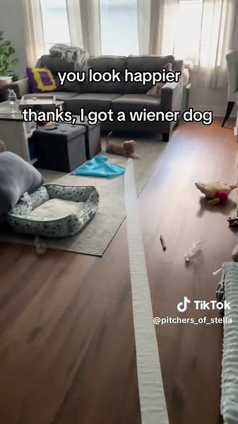 she has made me so happy 💖 | wiener dog